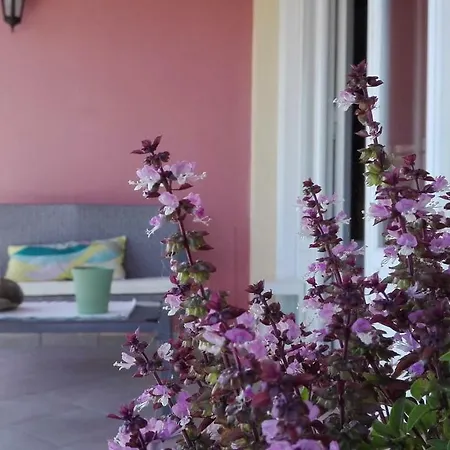 Kris Tenten Apartment Corfu (city)